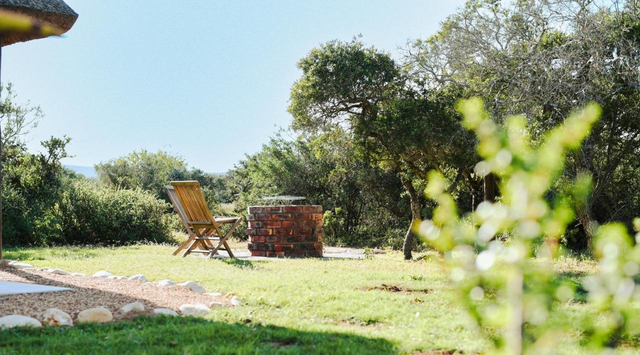 Charihandra Game Lodge Addo Extérieur photo