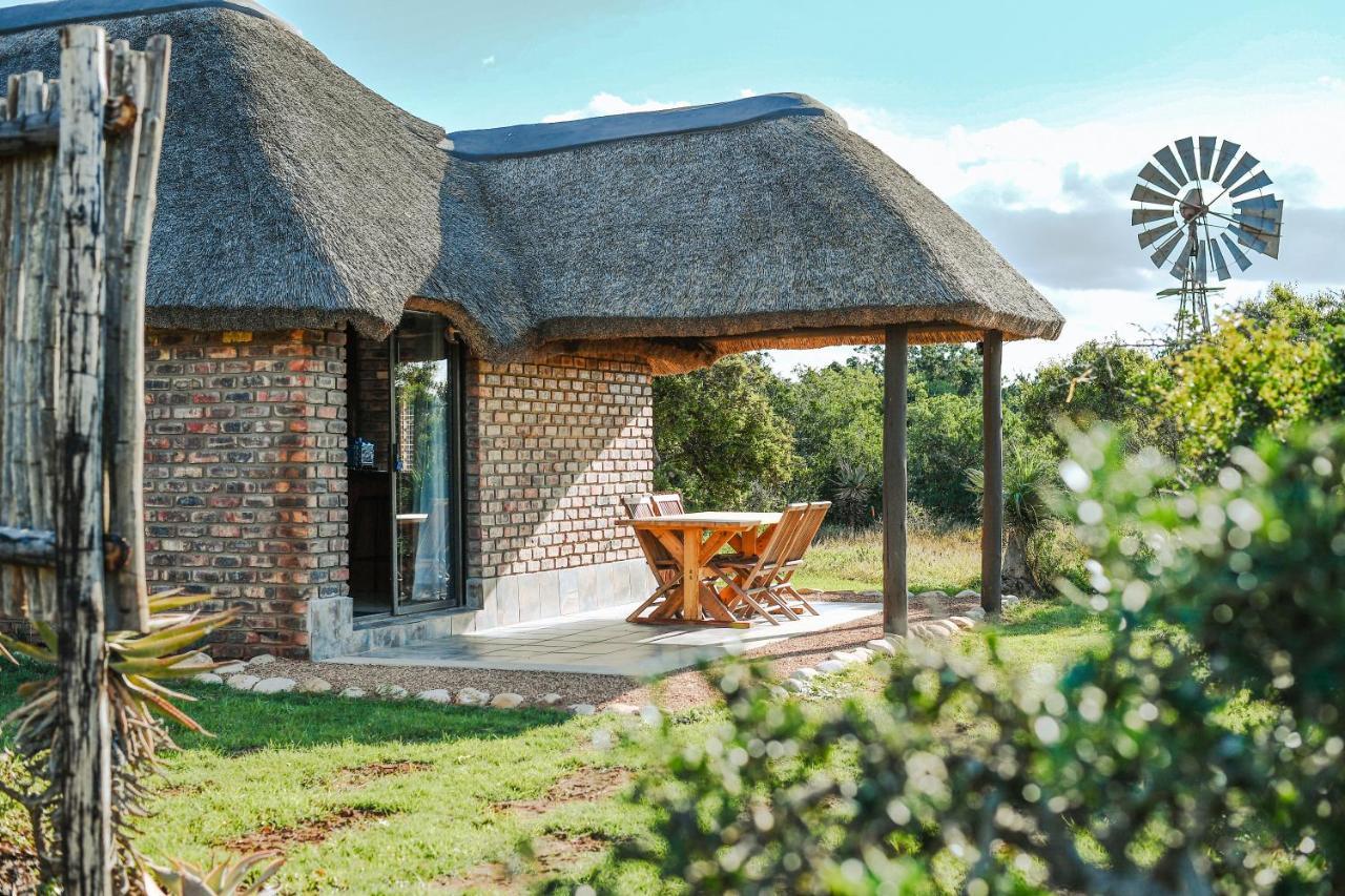 Charihandra Game Lodge Addo Extérieur photo