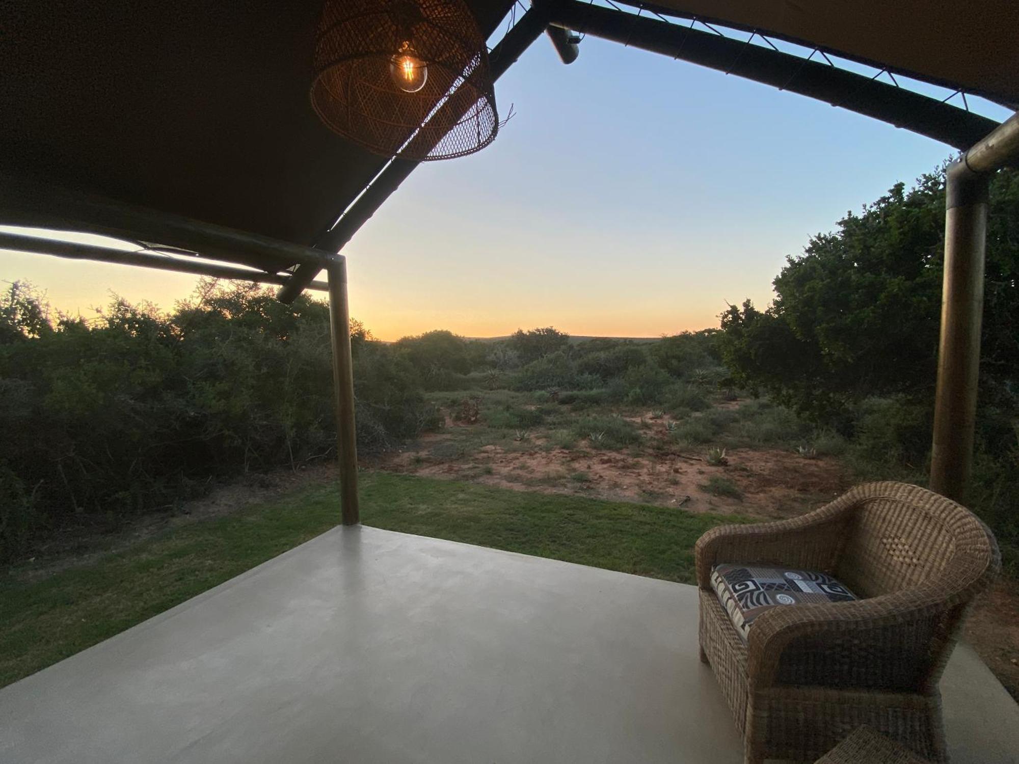 Charihandra Game Lodge Addo Extérieur photo